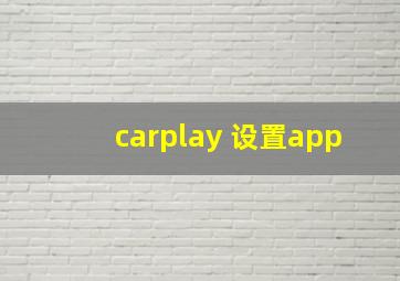 carplay 设置app